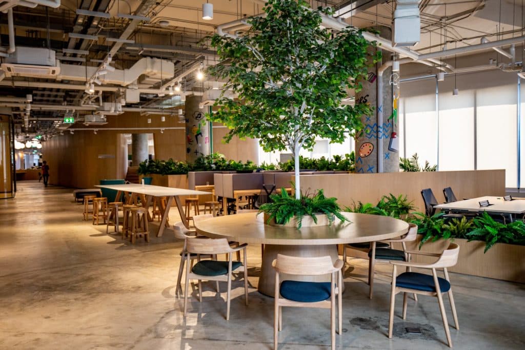 espace de coworking avec des tables et chaises en bois positionnées autour de plantes et d'un grand arbre.