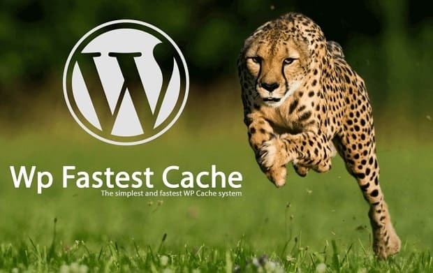 Logo de l'extension de mise en cache WP Fastest Cache